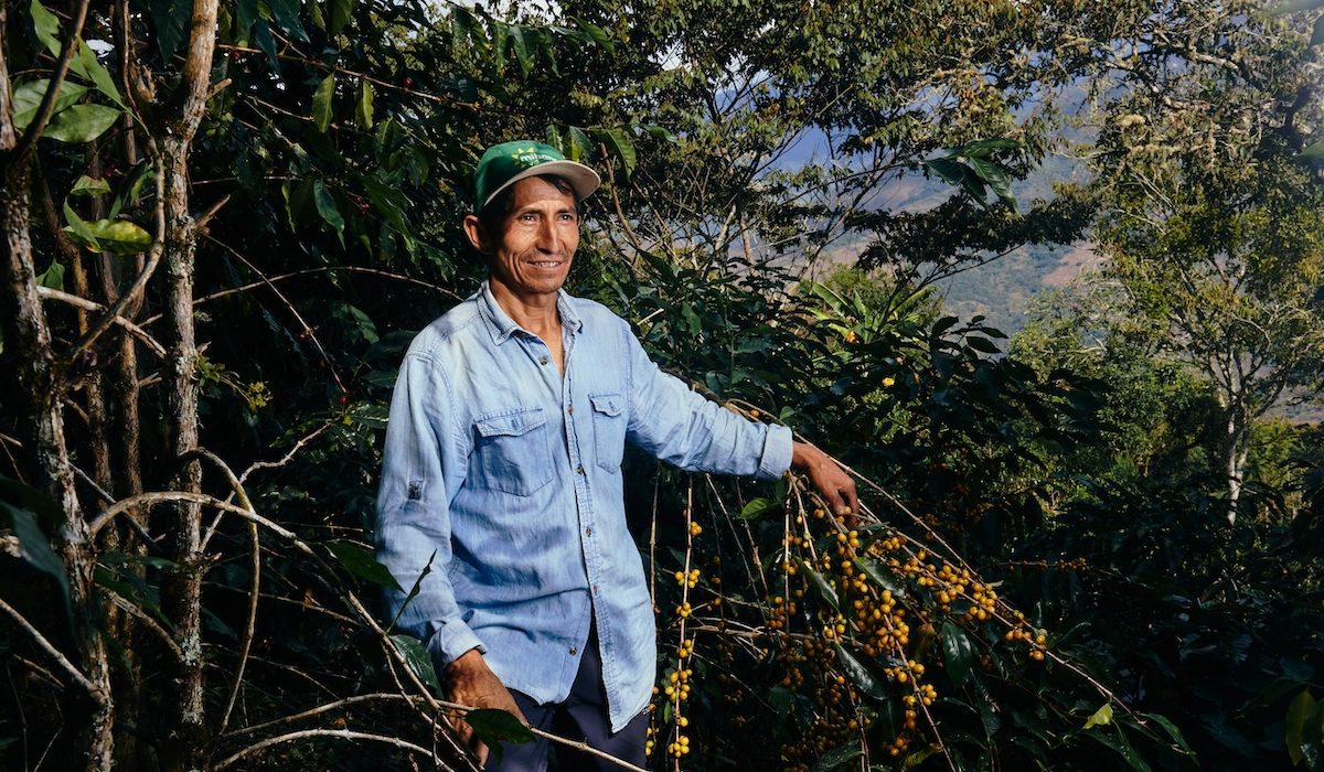 Placido Challco, caficultor de AYNI en Cusco.