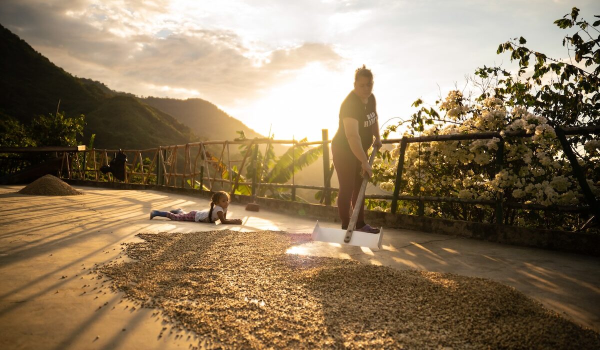 En 2023, Lucía Bawot publicó We Belong: An Anthology of Colombian Women Coffee Farmers, un libro que rinde homenaje a las mujeres caficultoras de Colombia. Más que un registro visual, fue el punto de partida de un proyecto más profundo y transformador.
